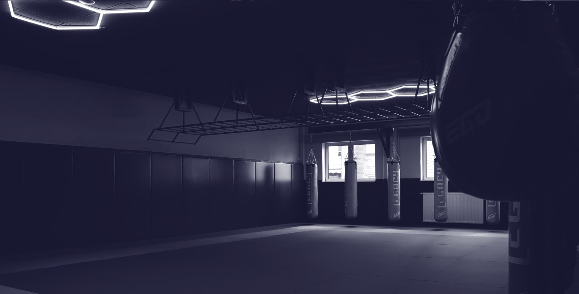 Grappling-Halle mit Matten und Trainingsbereich